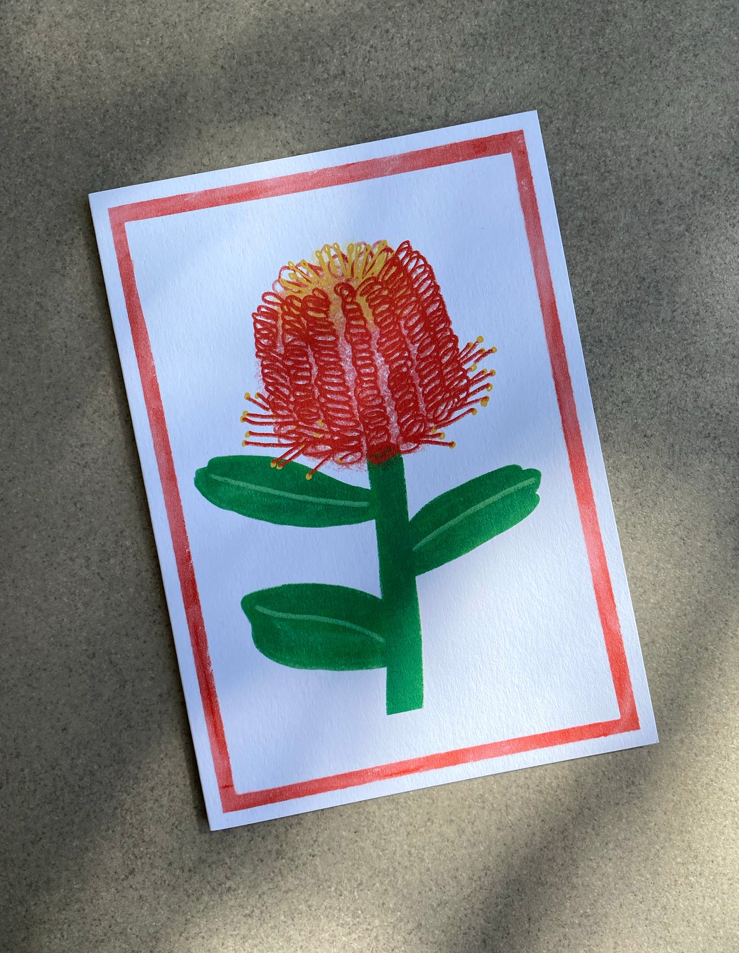Banksia - Australian Wildflower Card
