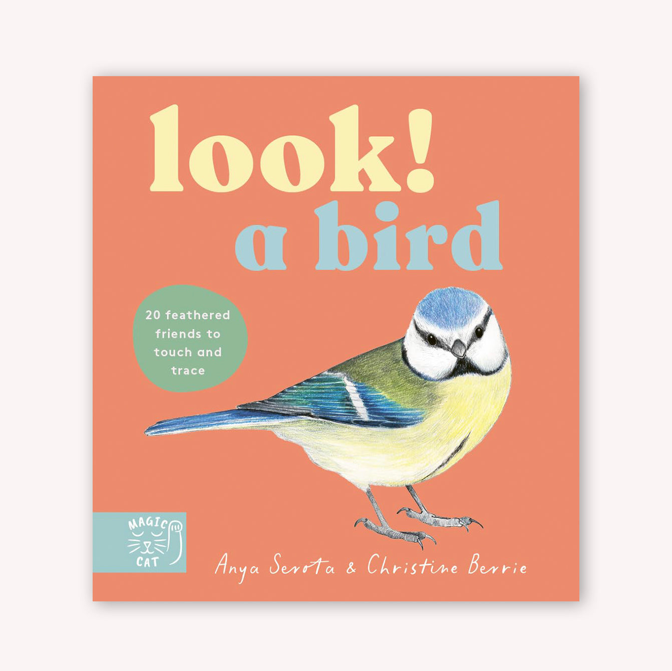 Look! A Bird! - Board Book