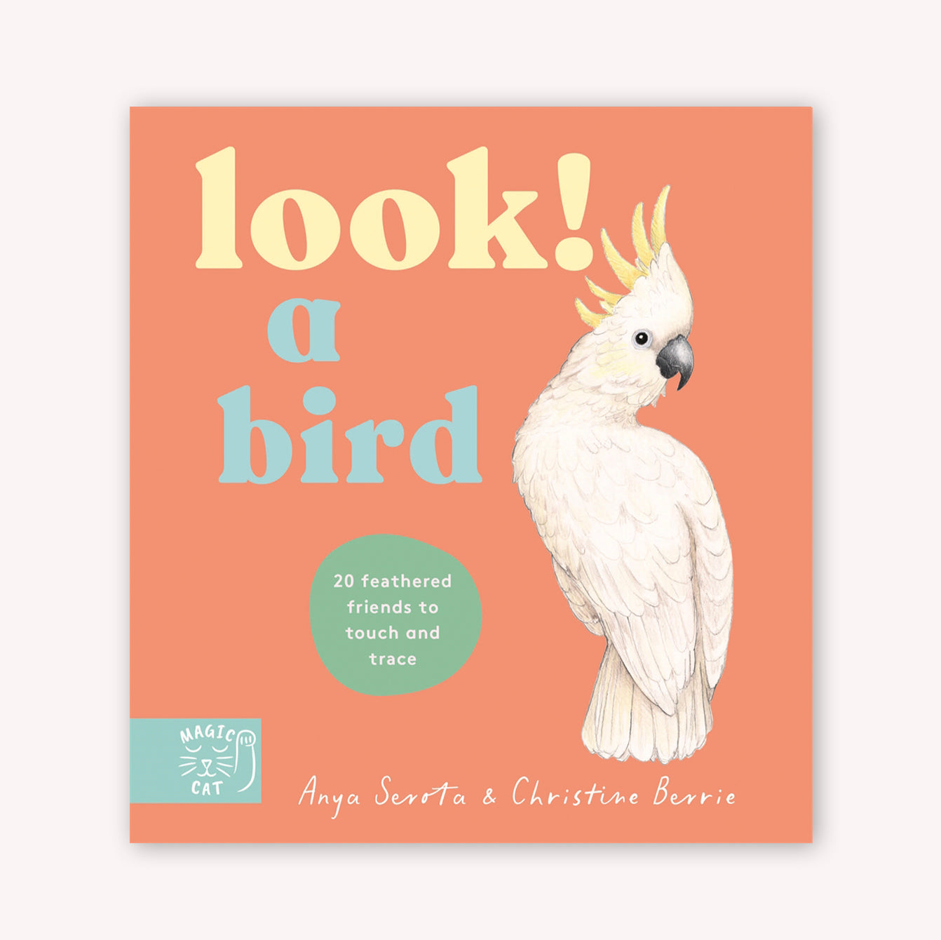 Look! A Bird! - Board Book