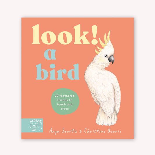 Look! A Bird! - Board Book