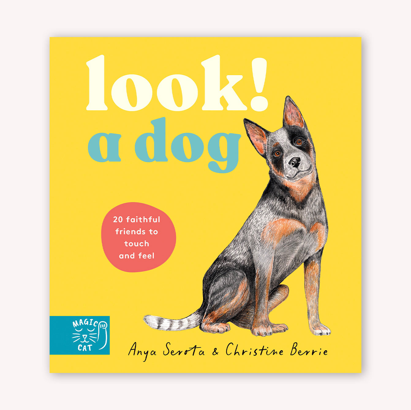 Look! A Dog! - Board Book