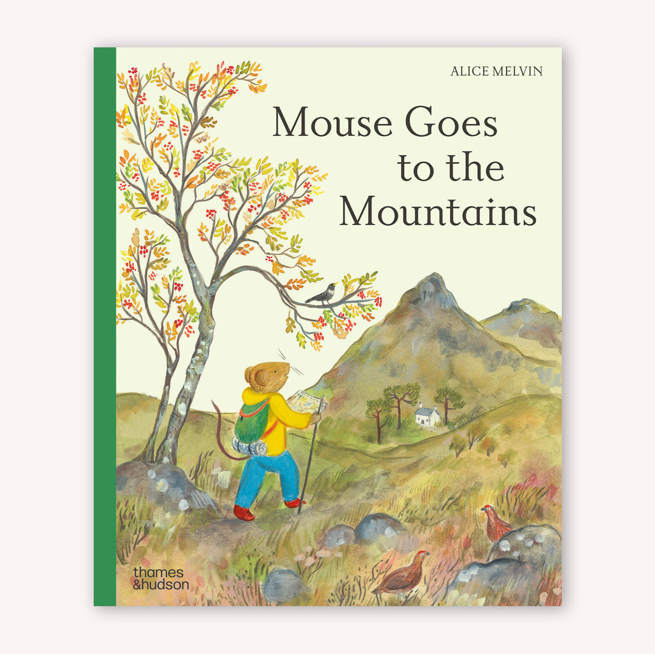 Mouse Goes to the Mountains: A Hike Through Nature - HARDBACK