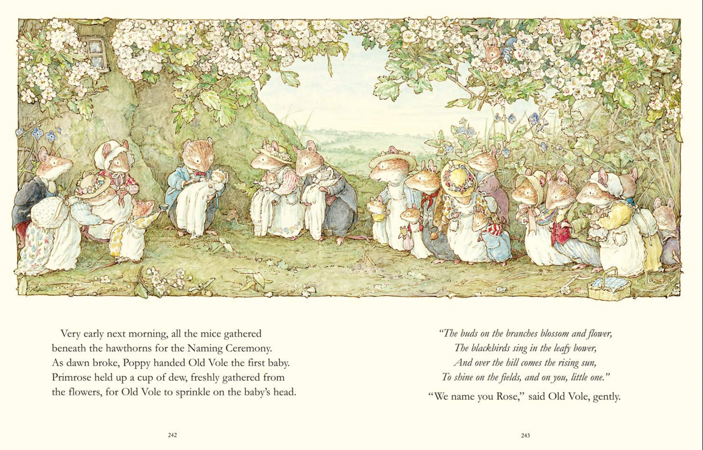 The Complete Brambly Hedge