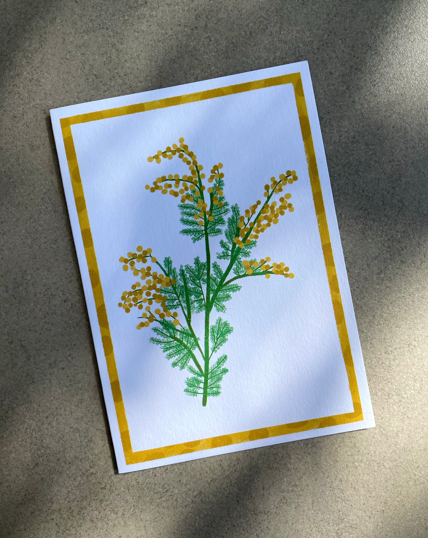 Wattle - Australian Wildflower Card