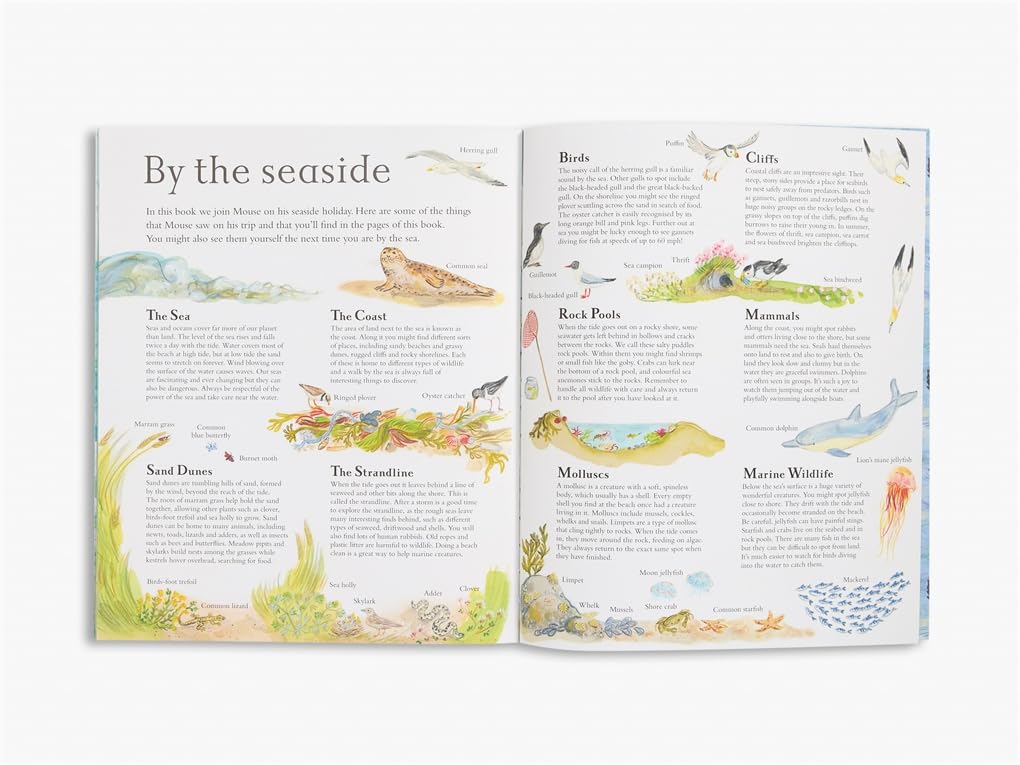 Mouse by the Sea: A Holiday in Nature