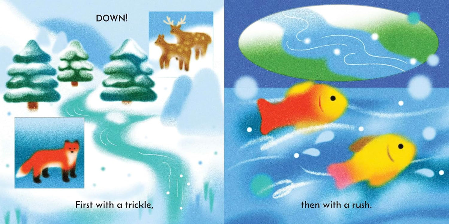 Splash - Board book