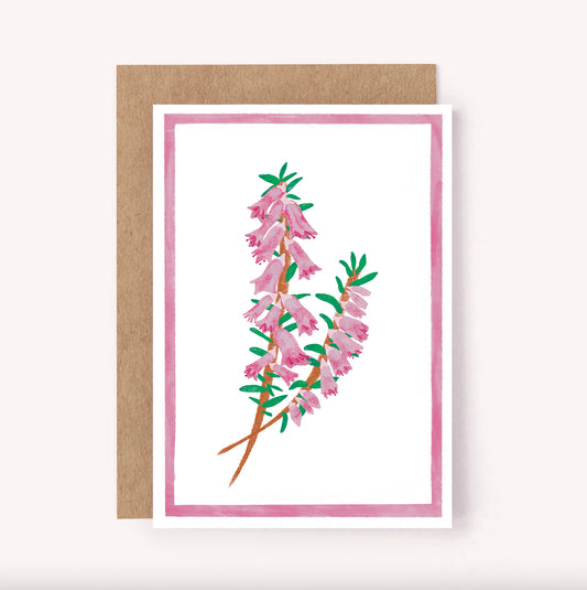 Heath Australian Wildflower Card - Illustrated Floral Card