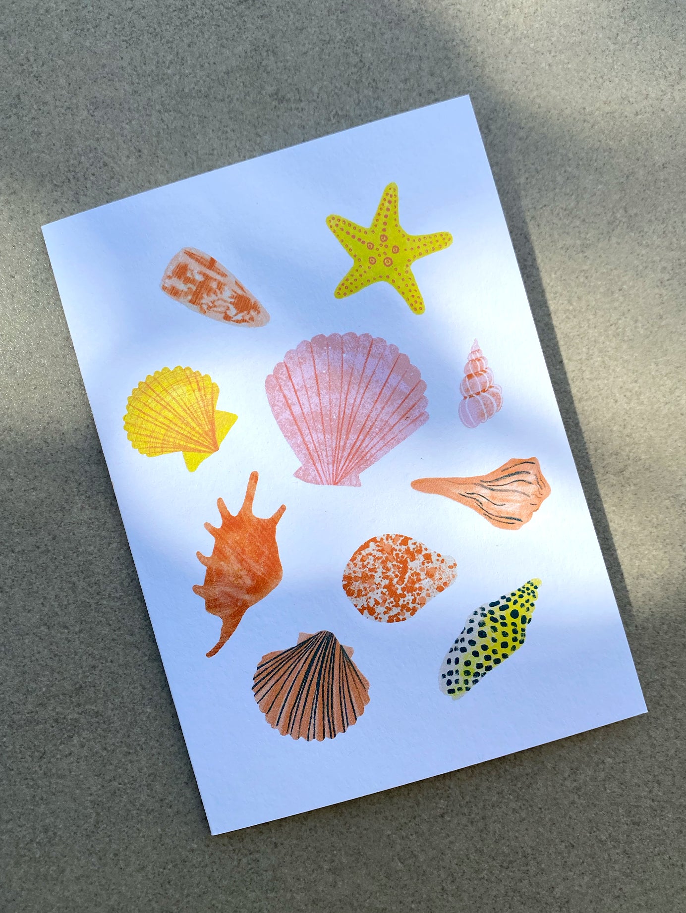 Seashell Card - Everyday